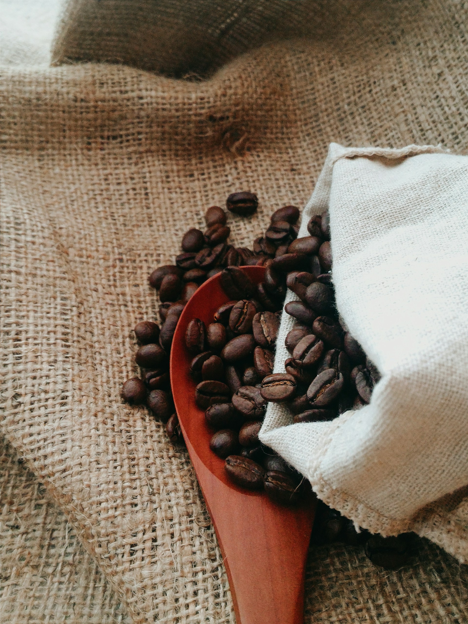 how to store coffee beans