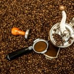 best coffee beans for cold brew