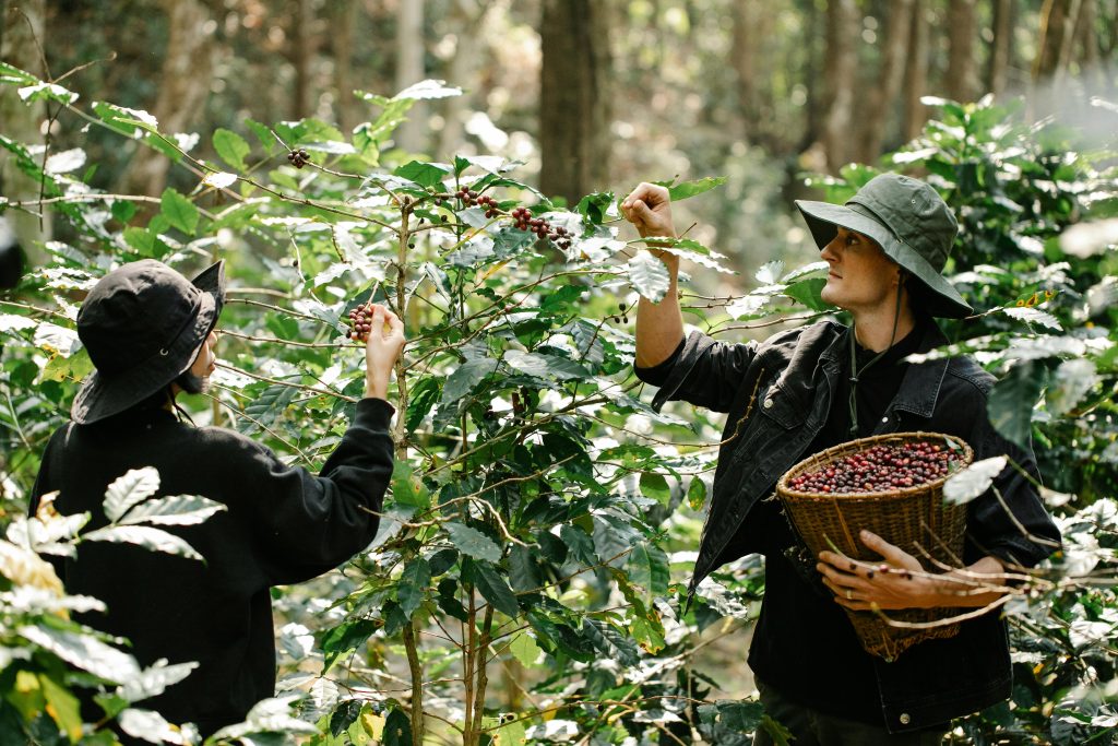 How to Make Your Coffee Habit More Eco-Friendly