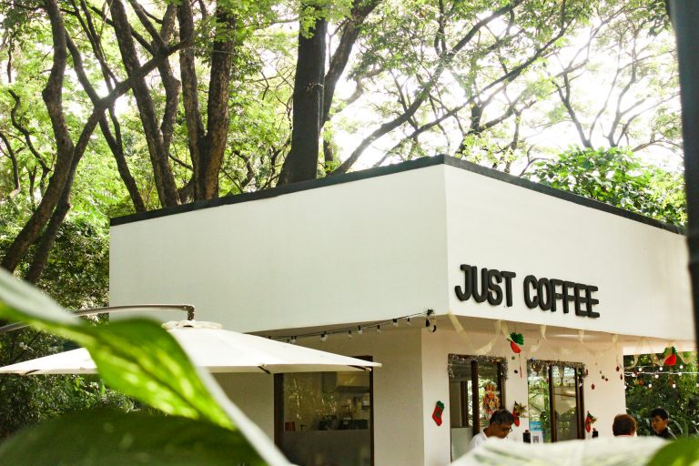 Best Coffee Shops