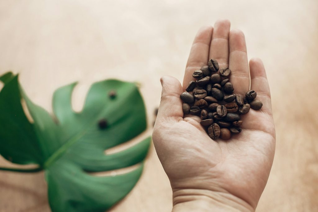 Sustainable Coffee