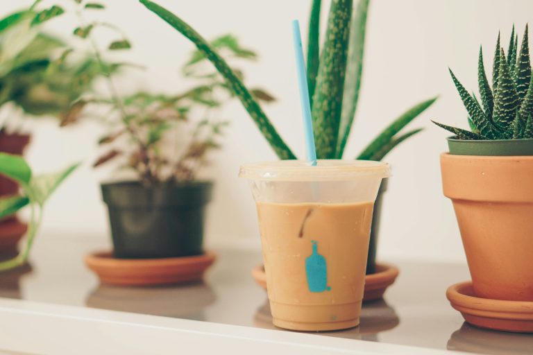 Plant-Based Coffee Creamers