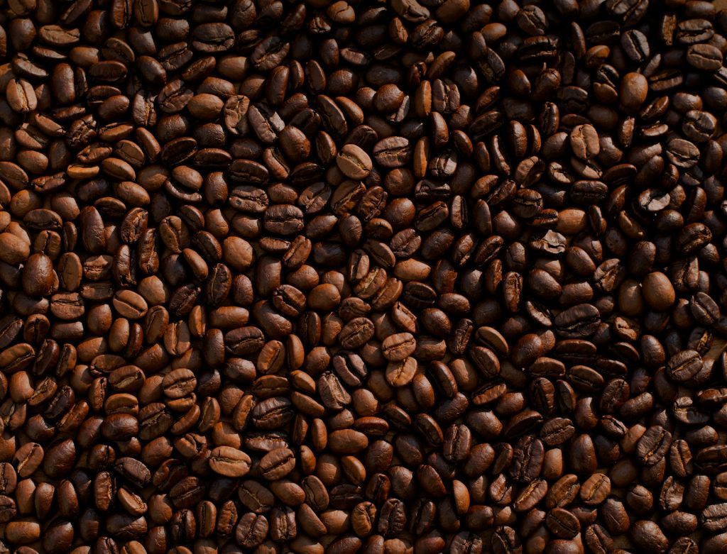 Decoding Coffee Labels