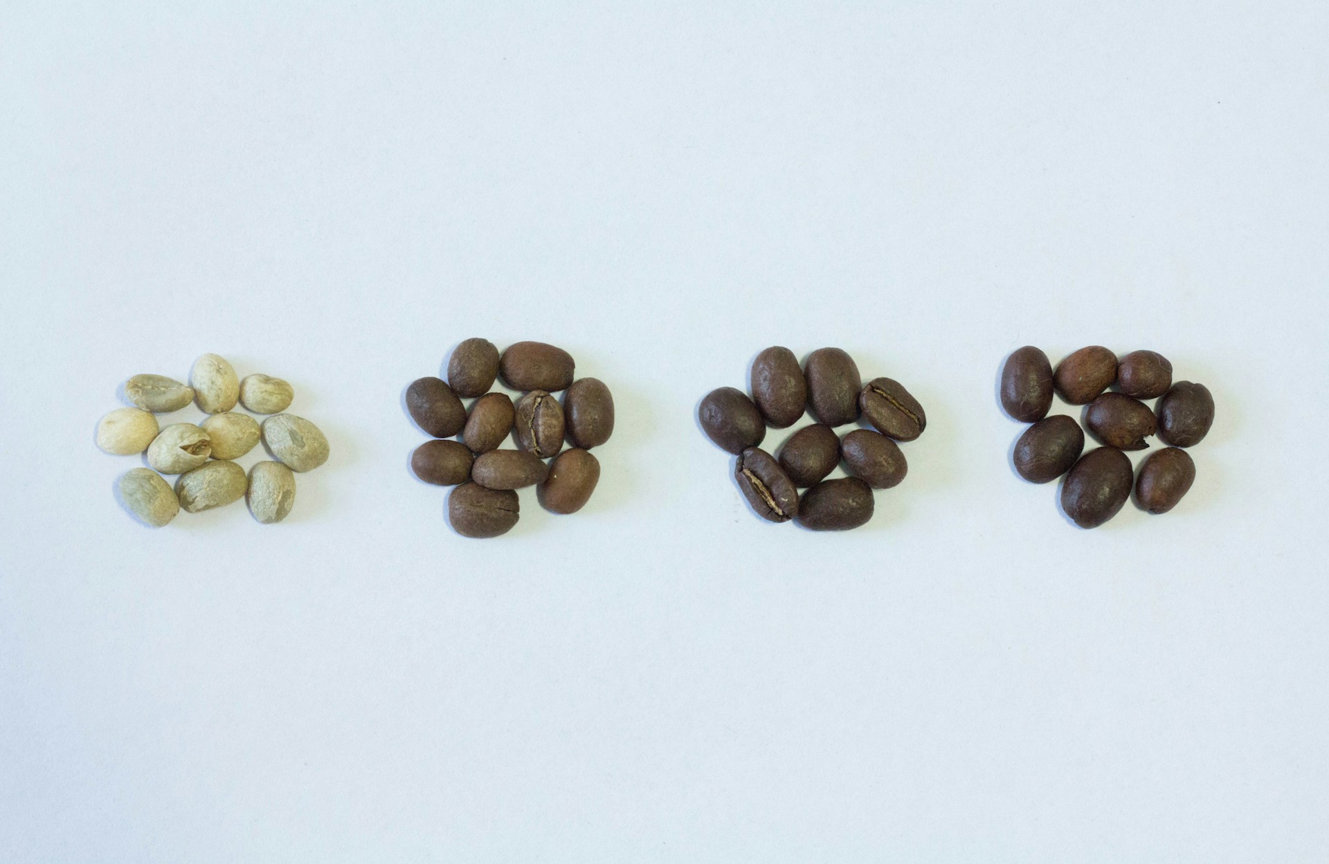 Decoding Coffee Labels