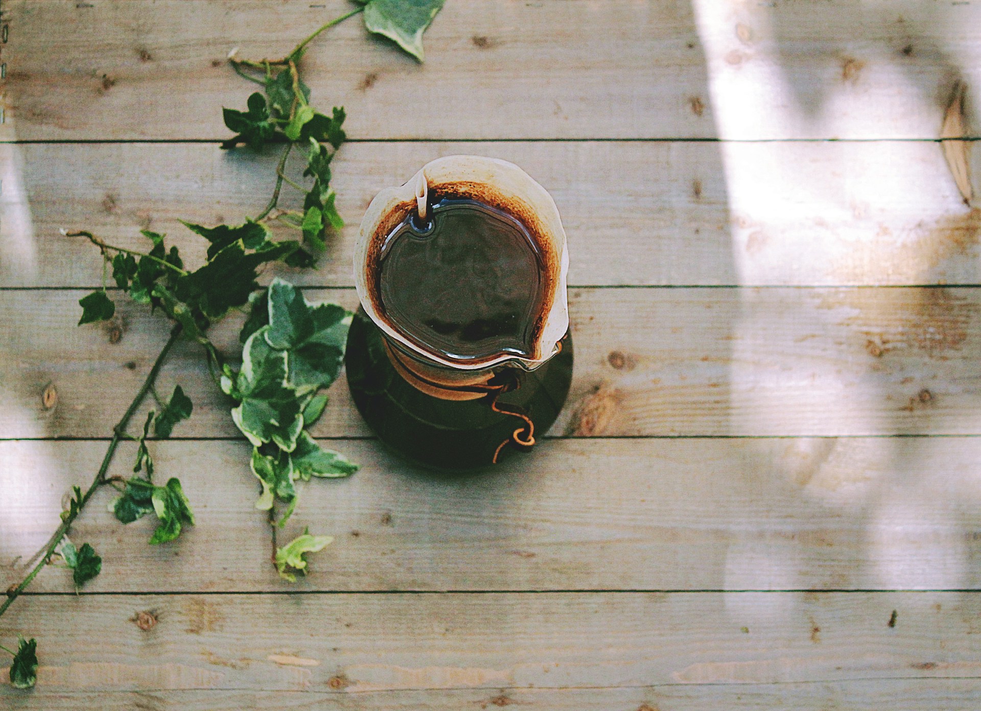 Coffee Subscription Services